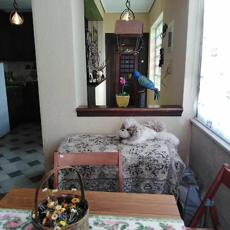 Down Town Luxury 아파트 Sarandë