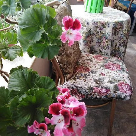 Down Town Luxury 아파트 Sarandë