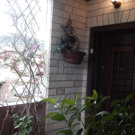 Down Town Luxury Apartment
